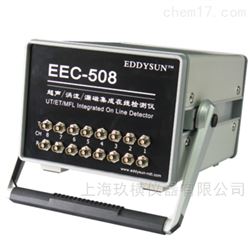 EEC-508超声/涡流/漏磁集成在线检测仪*